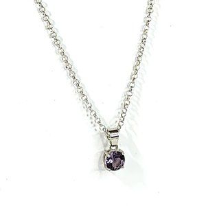 Dainty Purple Crystal Silvertone Necklace 45015-041